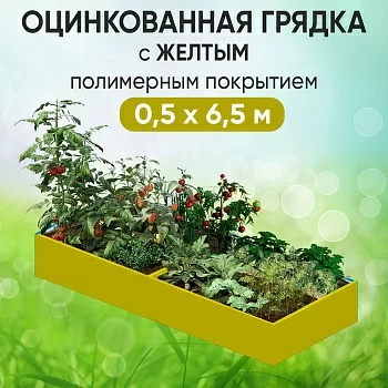 Грядка желтая (0,5 х 6,5)